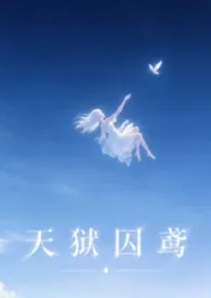天狱囚鸢(西幻监禁H)